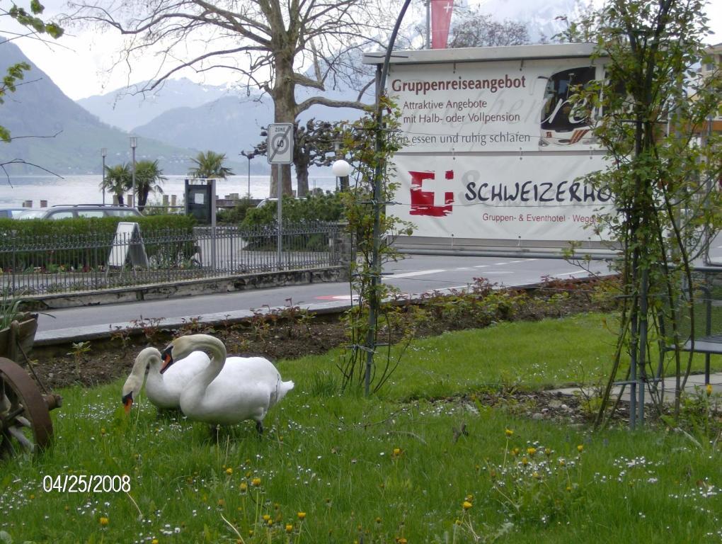Hotel Schweizerhof Weggis Exteriör bild